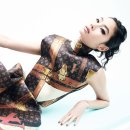 엘르 카카오 검색결과