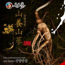 바 삼삼삼