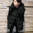 로이덕