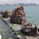 (주)자연개발