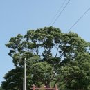 한산향교 이미지