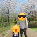 토마토김밥 금촌점 | 4/20~27 인천대공원 기차카페 시험문제 아기입술다침.. 물왕저수지, 참숯가마