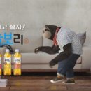 하늘보리 네이버블로그