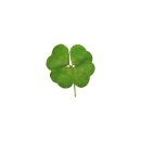 북일여자고등학교 | 2025(11) ♨️