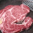 돈암한우식당 | 돈암시장 맛집 돈암정육식당 – 친구랑 한우 등심에 고추장찌개까지 제대로 먹고 온 후기