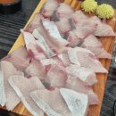 성신여대 방어 맛있는 횟집 콜키지 프리 대동원회시장