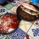 [BRISTOL&amp;BATH|D+2]브리스톨에서 바스 | 퍼레이드 가든스 | 풀테니 다리 | 로열 크레스켄트