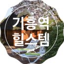 주열마니아 이미지