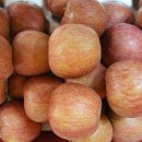 맹동우체국 이미지