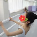 한양학원 - 천안시 동남구 만남로 6 | 발레로 일상의 활기를 찾아가는 여정: 의정부 한양J발레학원 취미발레 후기
