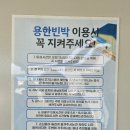 용한민박