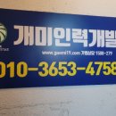 개미인력개발 이미지