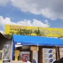 고릴라키즈의정부