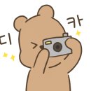 로얄싸롱 이미지