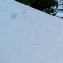 사이버 클럽 이미지