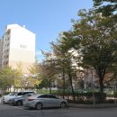 현대2-1차아파트 이미지