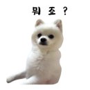 헤이! 멍 이미지