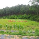 화천농장 이미지