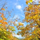 박달로567번길 네이버블로그