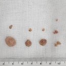 연세다나의원 이미지