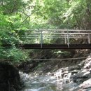 계곡이 있는 풍경 이미지