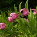 봉양농장 이미지