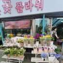 강동꽃화원 이미지