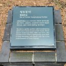 애니 신정 이미지