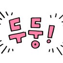 오렌지래프팅