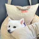 나는강아지 | 대청호 근처 카페 샤를몽탁 / 롤라 강아지 동반 후기 🐶