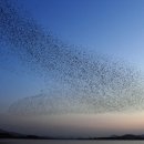 동림축산 이미지