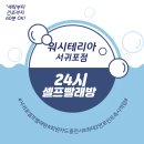 워시테리아올레 이미지