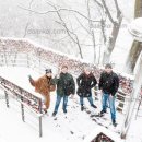 남산 산책로 이미지