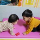 해닮어린이집 이미지