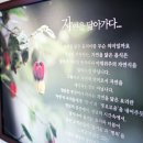 락인테리어 이미지
