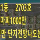 선천지구센텀공인중개사사무소 이미지