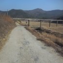 안심2리 이미지