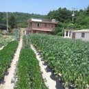 판이농장 이미지