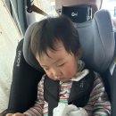 엘림목장 | 경남 사천&amp;남해 2박3일 아기랑 알찬 코스로 다녀왔어요😖