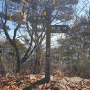 곡성-133 Daum카페