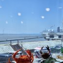 서해꽃게전문점 | 오이도 점심 맛집 꽃게 새우전문점 꽃새담 오이도점