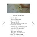 호이테 | W04. 빈티지 아이폰 스냅 ‘호이테HEUTE 스냅’ 계약 후기(할인코드 공유)