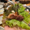 돈토리무한리필경산