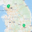 메이올웨이즈신세계백화점동국제약