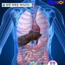 주변에서 쉽게 할 수 있는 복식호흡 단전호흡 이미지