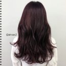 미헤어샵 이미지