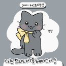 고야미 이미지