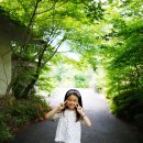 부곡허브농원 아로마빌리지 | [경남 창녕] 부곡허브농원 아로마빌리지