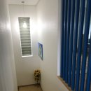 팬션 패트로누스 이미지