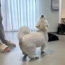 아로멍 이미지